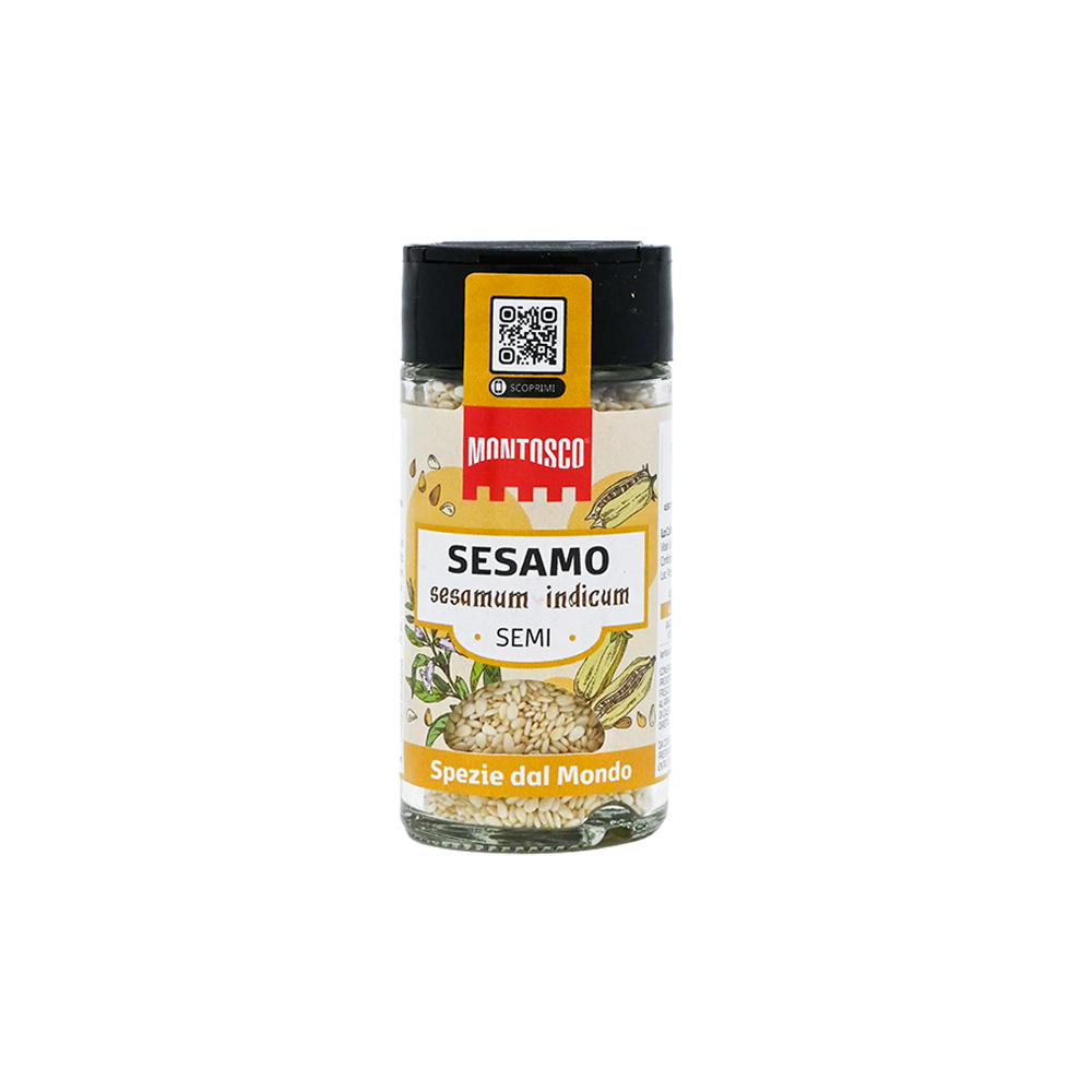 MT2312 SESAMO copia